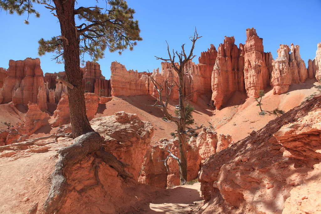 Bryce Canyon NP